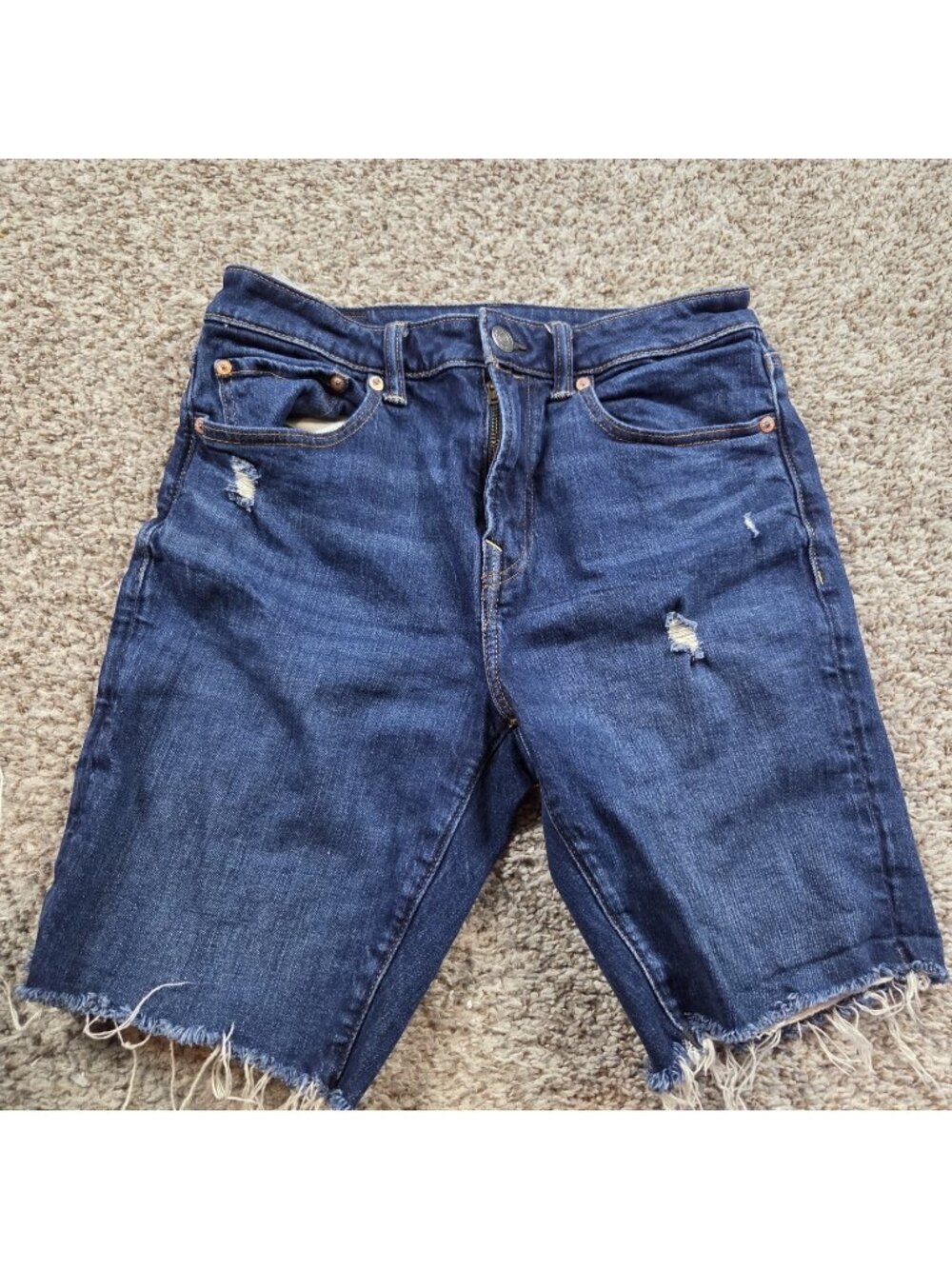 American Eagle Denim Shorts Mens 28 Distressed Dark Wash Preppy Raw Hem